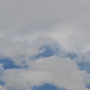 Meet your Posher, Asher